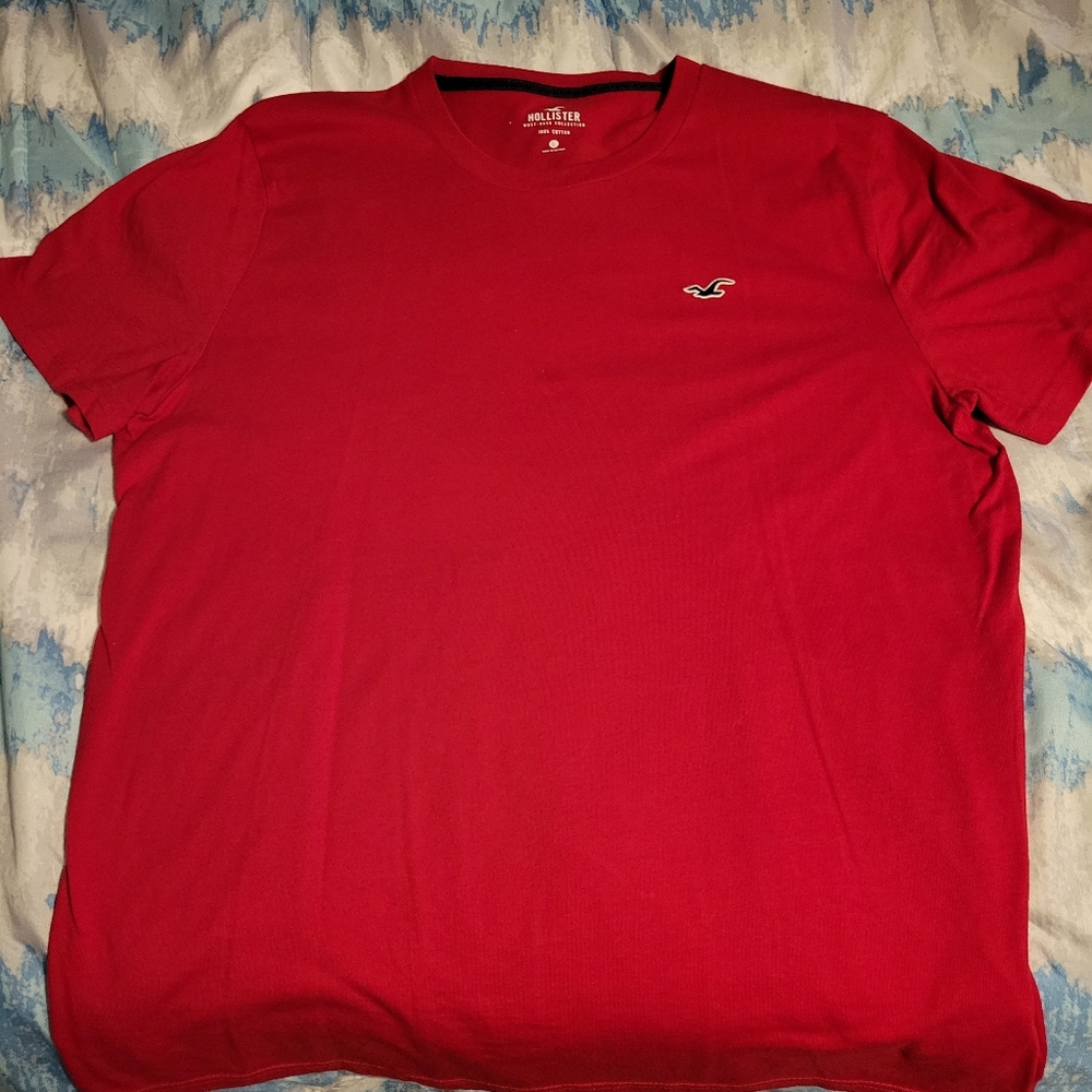 Hollister T-Shirt Large